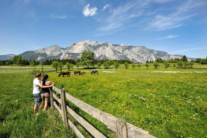 Der Dobratsch-Rundwanderweg eröffnet herrliche Panoramablicke. Foto: Hannes Kohlmeier